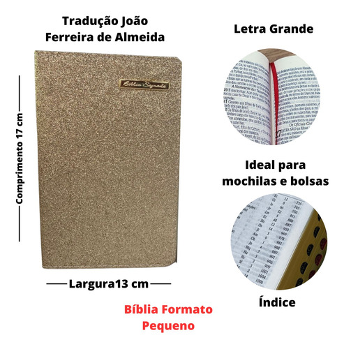 Bíblia Sagrada Letra Grande Ccb Luxo Pronta Entrega