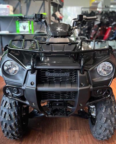 Imagen 2 de 14 de Cuatri Kawasaki Brute Force 300