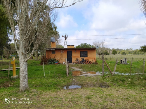 Imagen 24 de 30 de Lindísimo Campo En Veronica, Punta Indio