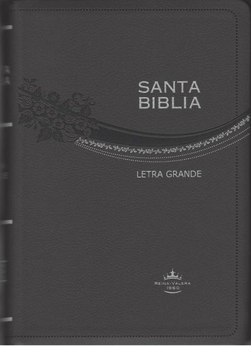 Biblia Letra Grande De Lujo Gris Reina Valera 1960