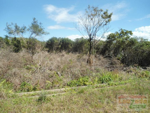 Terreno Para Venda Em Peruíbe, Estancia Sao Jose - 0538_2-321733