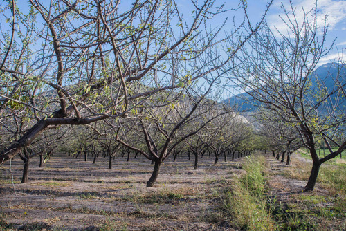 Terreno En San Juan De Pirque