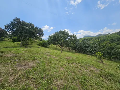 Finca En La Mesa Cundinamarca- San Joaquin