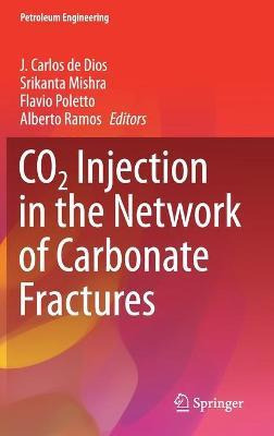 Libro Co2 Injection In The Network Of Carbonate Fractures...