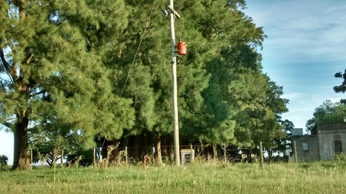 Imagen 6 de 9 de Campo En Gral. Madariaga
