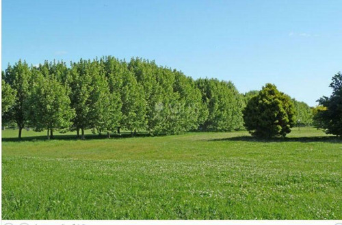 Imagen 9 de 12 de Lotes En Venta En Haras San Pablo - General Rodriguez