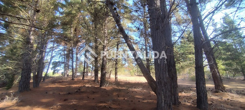 Casa 180 M2 - Terreno 11.200 M2 - Los Pinares De Algarrobo