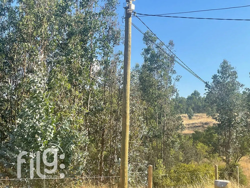 Venta De Terreno En San Nicolás Naturaleza Y Tranquilidad