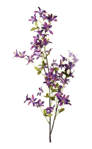 Flor Penta Morada -