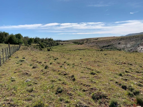 Agrícola En Venta En Coihaique