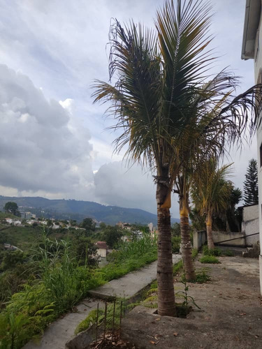 Imagen 14 de 14 de Casa Urb La Morita Tres Niveles 913m2 San Antonio De Los Altos