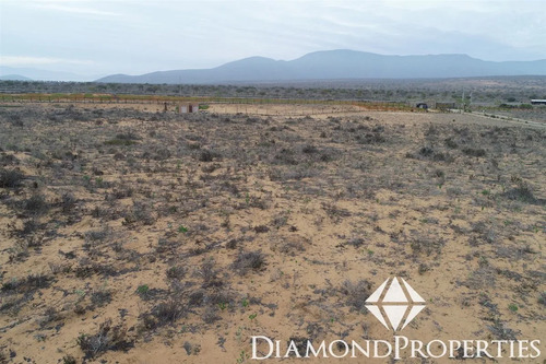 Sitio En Venta En Fundo Lagunillas, Morrillos