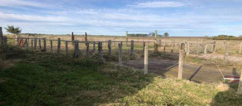 Excelente Oportunidad! 92 Has De Campo Ganadero En Solís De Mataojo, A Una Hora De Montevideo!!! Maquinaria Y Mobiliario Completo Incluido!!