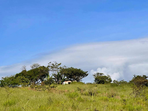 Últimas 10 Mz Finca Las Arrazolas Pueblo Nuevo Viñas/ixpaco