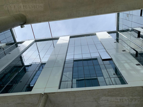 Imagen 9 de 21 de Alquiler De Oficina De 250 M2 En Nordelta