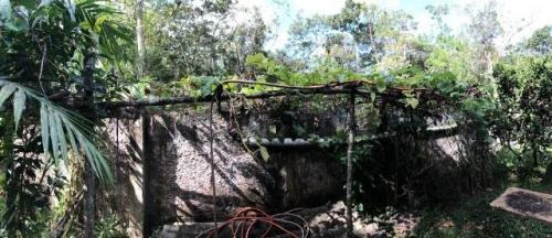 Imagem 12 de 14 de Ampla Chácara Lado Serra Itanhaém-chácaras Glórias 3dorm9787
