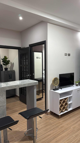 Apartamento En Alquiler Nuevo 1 Habitación Desamparados