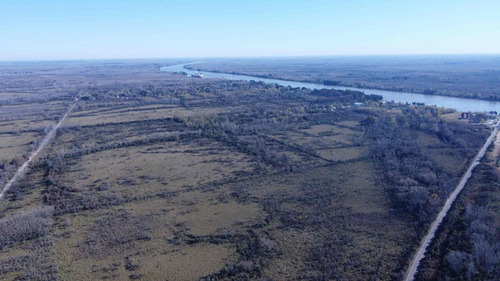 Imagen 6 de 14 de Venta 4 Hectareas Seccion 1 De Islas Del Parana