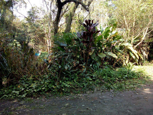 Imagem 5 de 10 de Terreno, Jardim Renata, Itapecerica Da Serra - R$ 260.000,00, 0m² - Codigo: 1260 - V1260