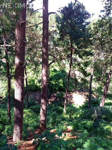 Imagen 1 de 5 de Terreno En Venta En San Cristóbal De Las Casas, Chiapas