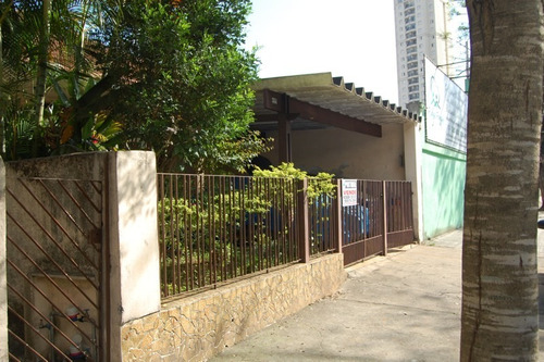 Imagem 3 de 5 de Terreno Vila Caminho Do Mar S.b.campo - 1033-10541