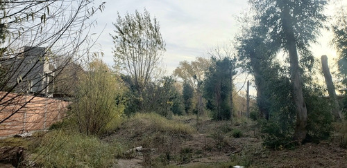 Imagen 2 de 8 de Venta Lote Terreno En San Bernardo 20 X 50 Zona Residencial