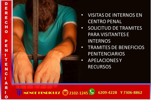 Imagen 7 de 9 de Servicios Legales En Materia Penal Y Penitenciaria Desde