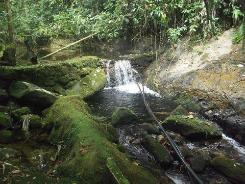 Imagem 11 de 15 de Comercial Para Venda Em Ubatuba, Sitio Pousada Arariba - 1295_2-1110528