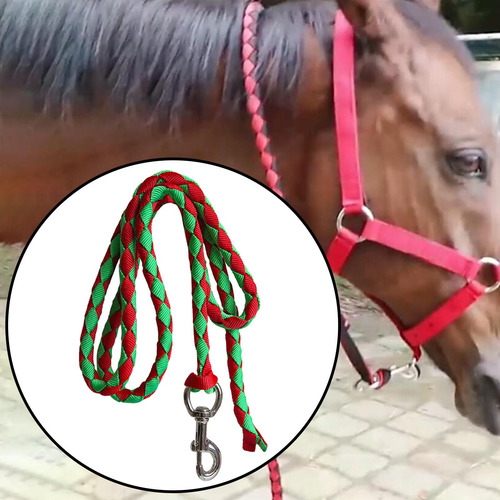 Cuerda De Plomo Para Caballos Con Clip 4 Metros Verde Rojo