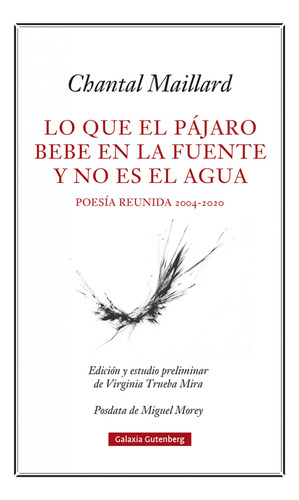 Lo Que El Pájaro Bebe En La Fuente Y No Es El Agua Maillard