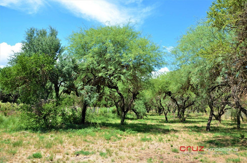 Imagen 7 de 13 de Lote De 858m2 En Carpintería - Zona Céntrica