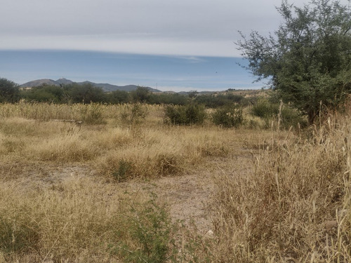 Terreno En Venta A Pie De Carretera En San José Del Tránsito