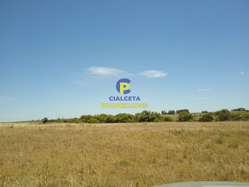 23 Hectáreas En Lavalleja Con Arroyo