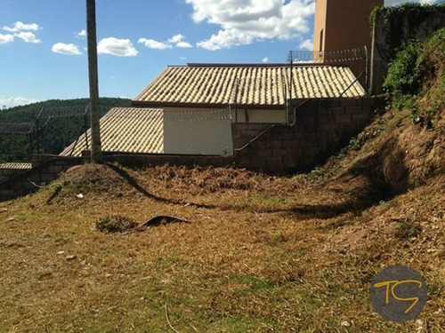 Imagem 8 de 9 de Terreno - Te00172 - 4688236