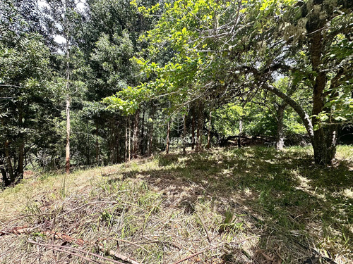 Terreno En Arique Ruta A Valdivia (133760)