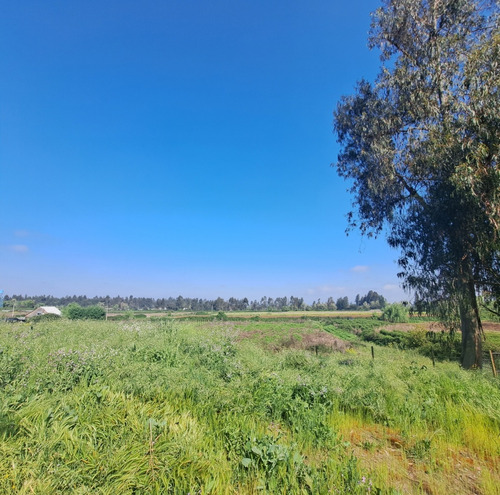 Parcela 5000m2 En Teno
