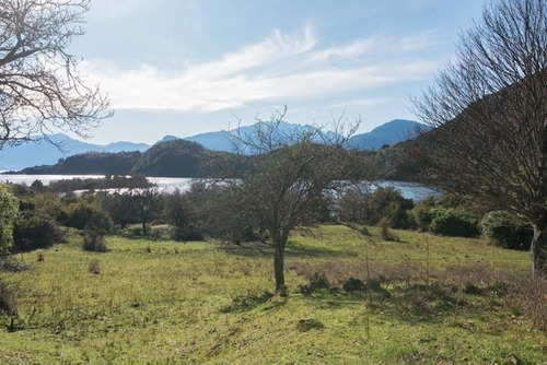 Imagen 2 de 6 de Parcela En Venta En Lago Ranco