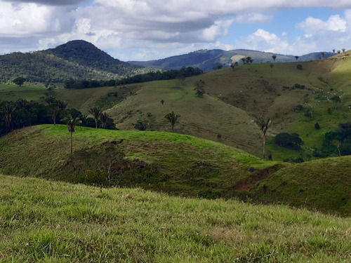 Imagem 13 de 15 de Fazenda Para Venda Em União Dos Palmares, Zona Rural - In - 0010_1-2015625
