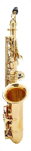 Roy Benson Saxo Estudiante Brass Sl3 Alto Eb Color Lacado Dorado