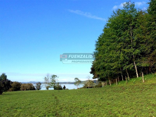 Imagen 8 de 10 de Sitio En Venta En Lago Puyehue Mantilhue