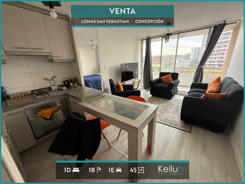 Departamento En Venta 1d | 1b | 1e En Lomas San Sebastian