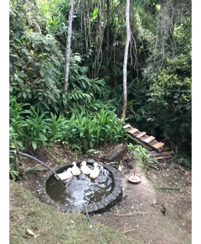 Finca En Venta En Guarne