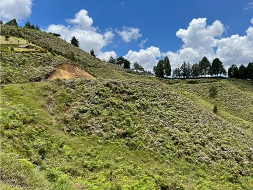 Rhbr-14483 (lote) (guarne)