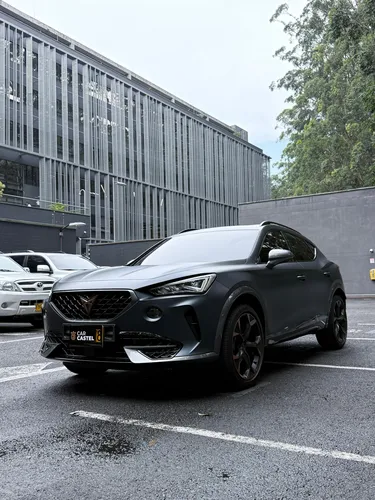 Cupra formentor 2.0 Tsi Mate Dsg