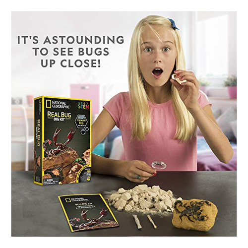 Kit De Excavación De Insectos Reales De National Geographic