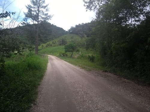 Imagem 17 de 30 de Fazenda - Fa00003 - 34856184