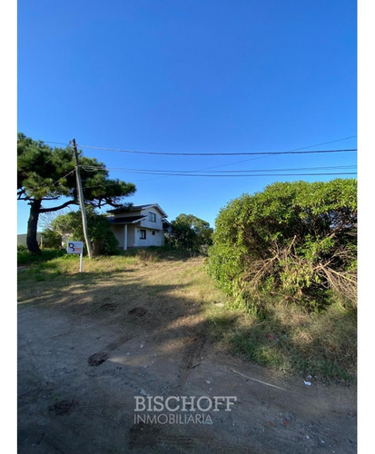 Venta De Lote En Ostende Calle Moreno