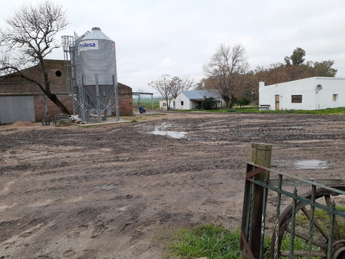 Se Vende Campo Destinado A Produccion Lechera Y Agricultura.