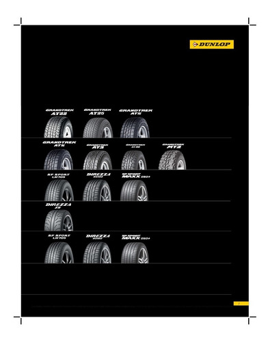 Imagen 6 de 6 de Neumático Dunlop 165/70r13 79t R1