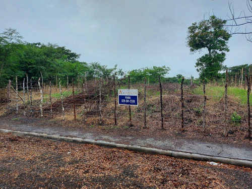Vendo Solar Deslindado Entrada Frente Aeropuerto Del Cibao